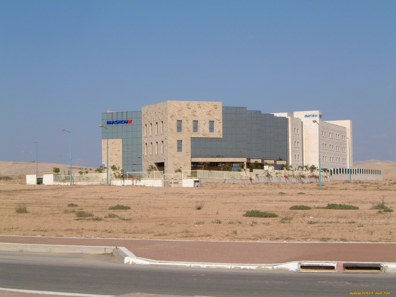 beer, sheva, , , 